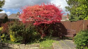 Photo 17- click for photo gallery